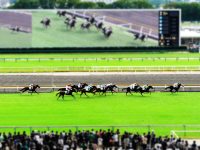 ティルトシフト・東京競馬場にて1