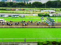 ティルトシフト・東京競馬場にて2