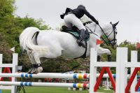 馬術競技、飛越する馬・その１