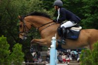 馬術競技、飛越する馬・その２