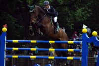 馬術競技、飛越する馬・その３