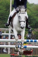 馬術競技、飛越する馬・その４