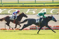 グレイスフルデイズ、一番人気に応えて新馬勝ち！