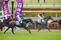 トゥルヴァーユ、初戦は繰り上がり2着