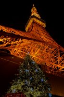 クリスマスツリーと東京タワー