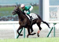 小倉で新馬勝ちした時のブランドベルグ