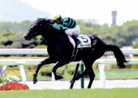 函館で新馬勝ちした時のグローリーミスト