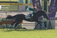 リスペクトアース、府中芝2000mを逃げ切って新馬勝ち