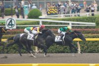 （6/24 3歳未勝利）シャンボールナイト、後続の追撃をハナ差凌いで初勝利。