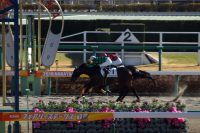 （1/7 3歳未勝利）アメリカンツイスト、今年初出走で初勝利。