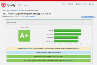 Qualys SSL LabsによるSSLテストの結果。よくわからんけどA+だからいい結果なんだろう。