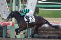 1/12 4歳以上1勝クラス アメリカンツイスト、1番人気に応え快勝。