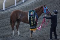 3/5 エンプレス杯 優勝レイをかけられ口取りに臨むアンデスクイーン。