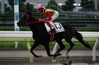 10/8 大井・2歳新馬 後続を引き離して悠々ゴールするタイムリーブリーズ。