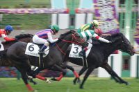 21/10/31 2歳新馬 ティズグロリアス、接戦をハナ差制して勝利。