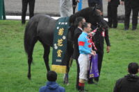 エネルジコ、菊花賞口取り。