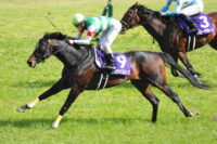 シュヴァリエローズ、天皇賞(春)7着。